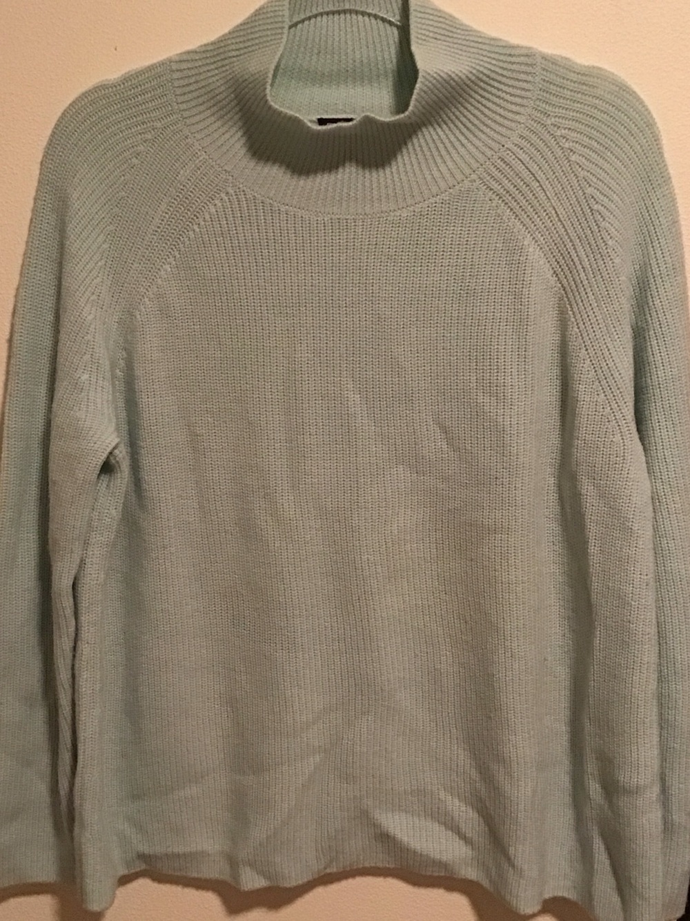 Eileen Fisher Women’s Light Mint lightweight merino wool Turtleneck Sweater